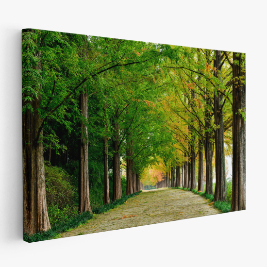 Cuadro en Lienzo - Bosque