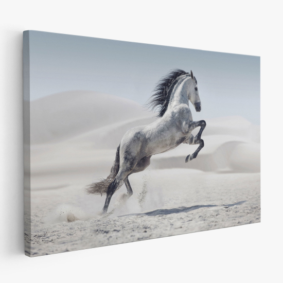 Cuadro en Lienzo - Caballo