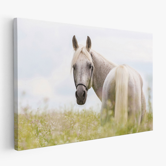Cuadro en Lienzo - Caballo