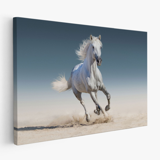 Cuadro en Lienzo - Caballo