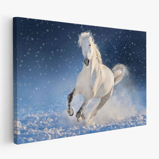 Cuadro en Lienzo - Caballo
