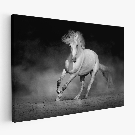 Cuadro en Lienzo - Caballo