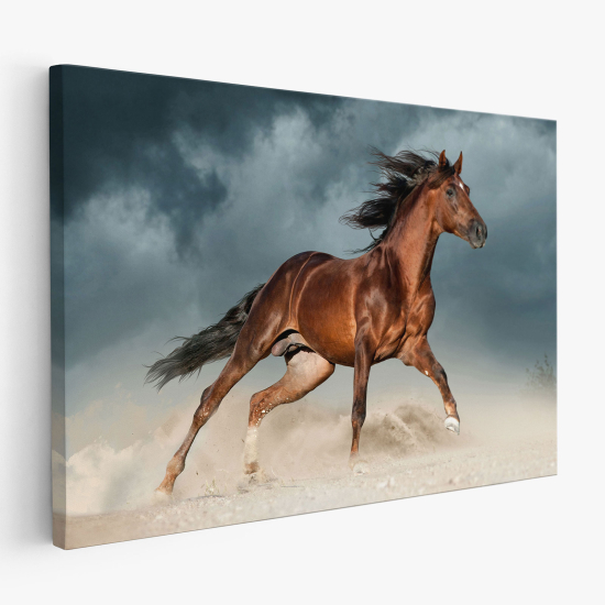 Cuadro en Lienzo - Caballo