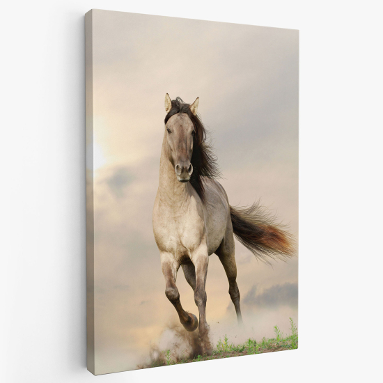 Cuadro en Lienzo - Caballo