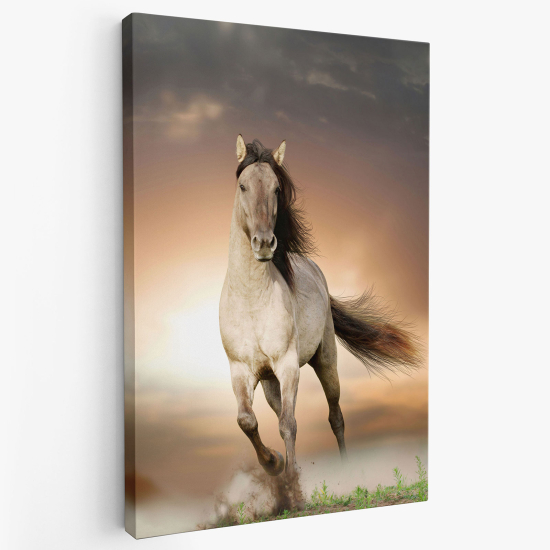 Cuadro en Lienzo - Caballo