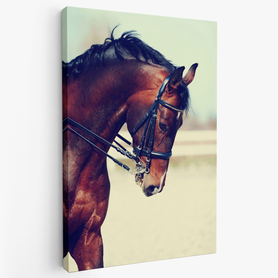 Cuadro en Lienzo - Caballo