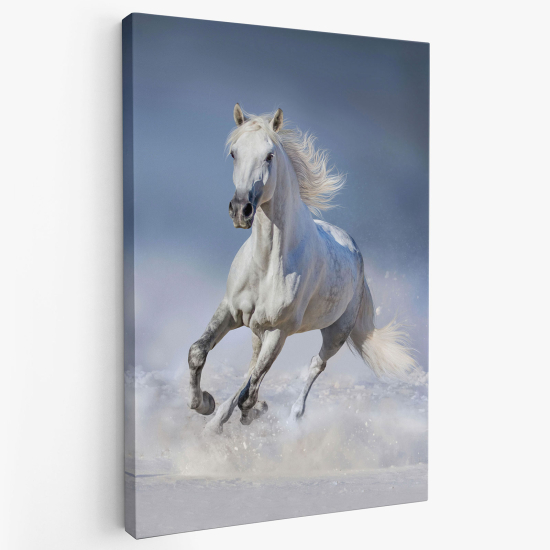 Cuadro en Lienzo - Caballo blanco