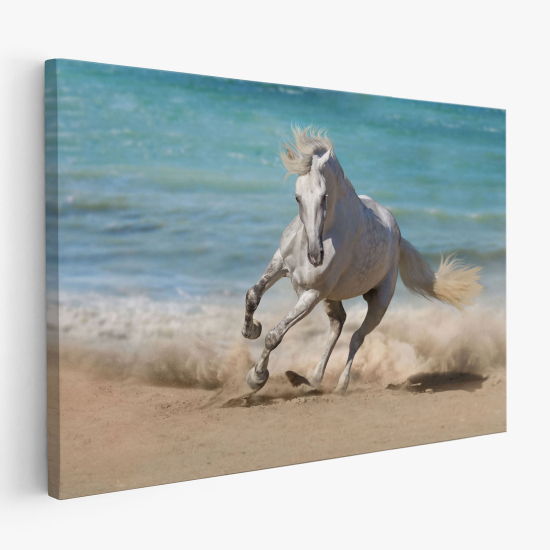 Cuadro en Lienzo - Caballo en la playa