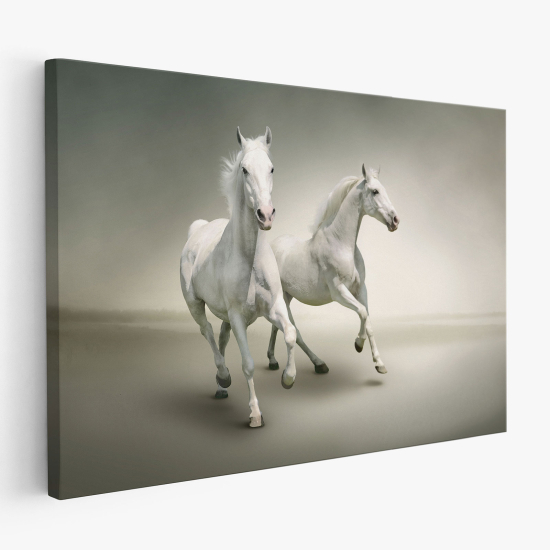 Cuadro en Lienzo - Caballos
