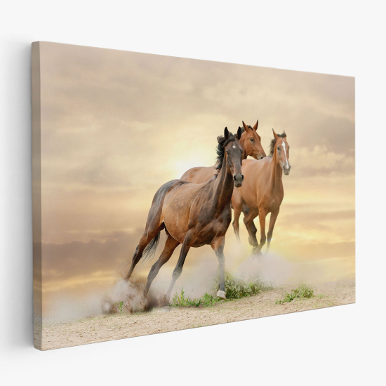 Cuadro en Lienzo - Caballos