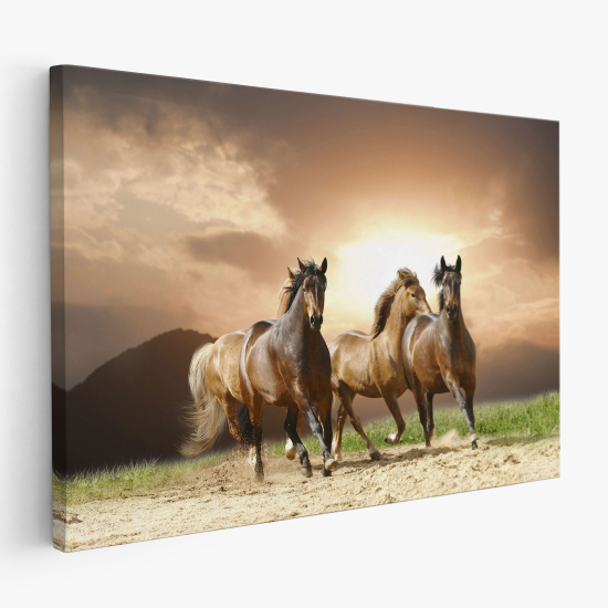 Cuadro en Lienzo - Caballos