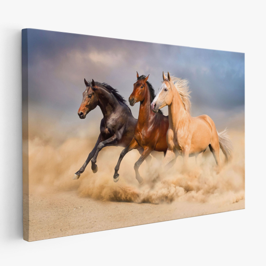 Cuadro en Lienzo - Caballos