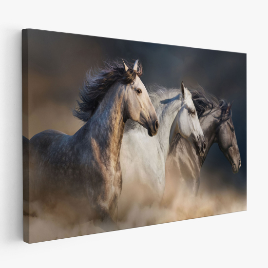 Cuadro en Lienzo - Caballos