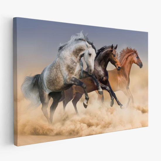 Cuadro en Lienzo - Caballos