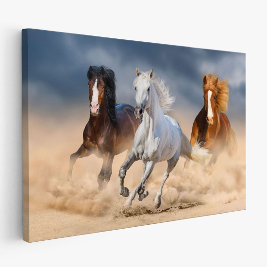 Cuadro en Lienzo - Caballos