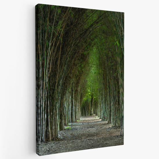 Cuadro en Lienzo - Camino Bosque