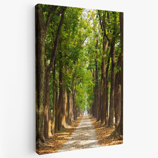 Cuadro en Lienzo - Camino en el bosque