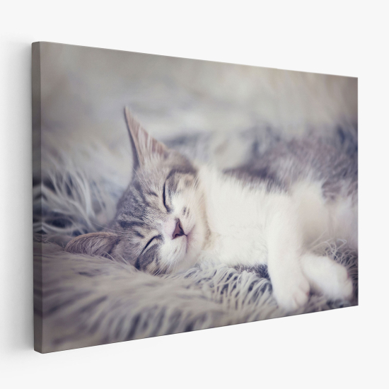 Cuadro en Lienzo - Chat