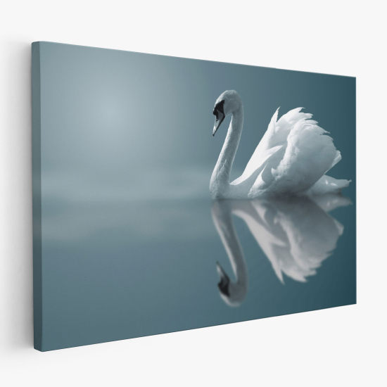 Cuadro en Lienzo - Cisne