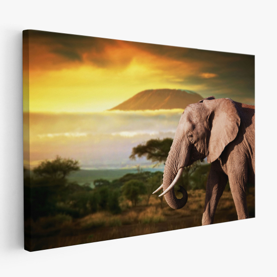 Cuadro en Lienzo - Elefante