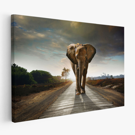 Cuadro en Lienzo - Elefante