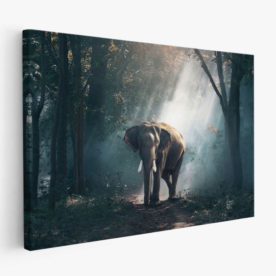 Cuadro en Lienzo - Elefante