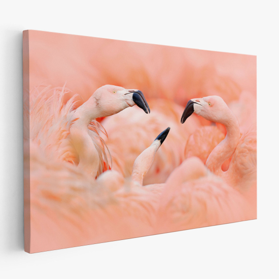 Cuadro en Lienzo - Flamencos Rosados