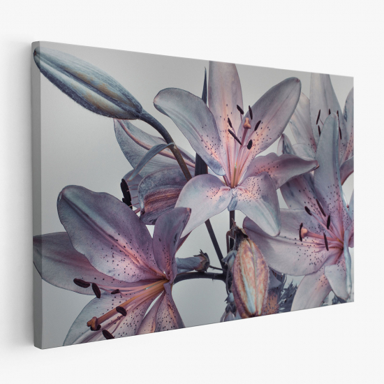 Cuadro en Lienzo - Flores