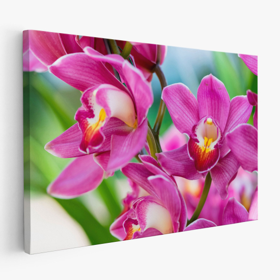 Cuadro en Lienzo - Flores