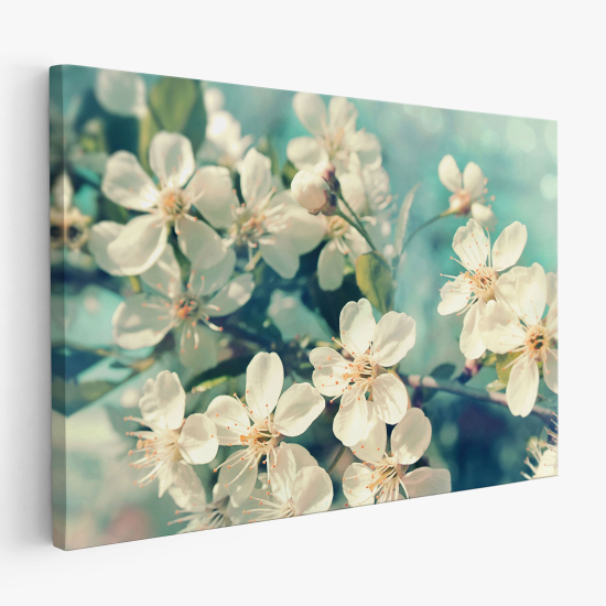 Cuadro en Lienzo - Flores de Cerezo