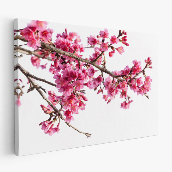 Cuadro en Lienzo - Flores de Cerezo