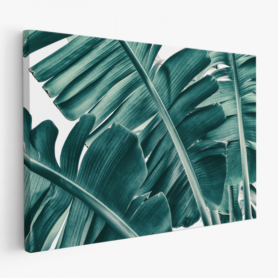 Cuadro en Lienzo - Hojas Tropicales