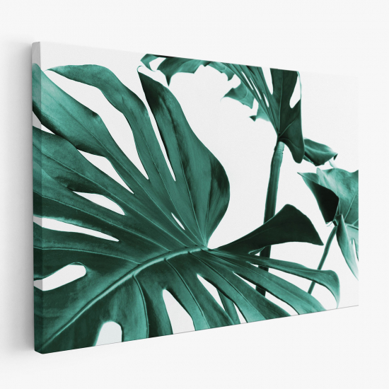 Cuadro en Lienzo - Hojas Tropicales Monstera
