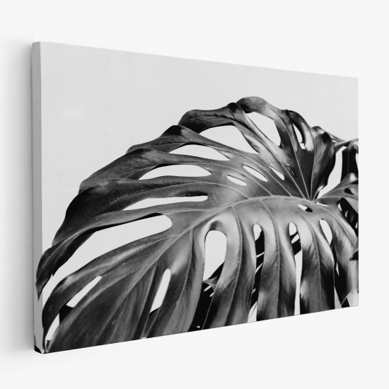 Cuadro en Lienzo - Hojas Tropicales Monstera