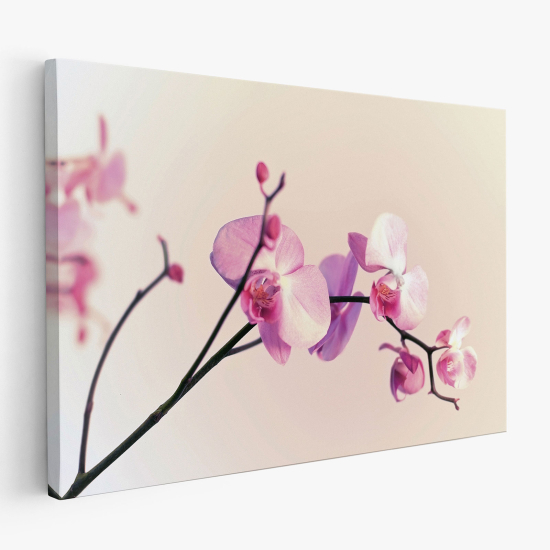 Cuadro en Lienzo - Orquídeas