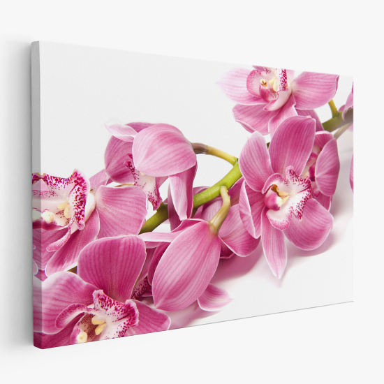 Cuadro en Lienzo - Orquídeas