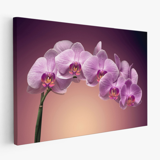 Cuadro en Lienzo - Orquídeas