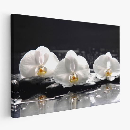 Cuadro en Lienzo - Orquídeas