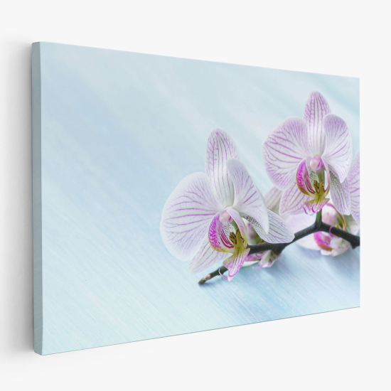 Cuadro en Lienzo - Orquídeas
