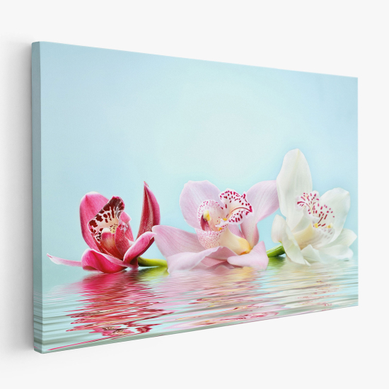 Cuadro en Lienzo - Orquídeas