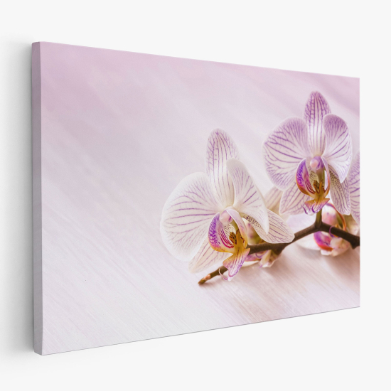 Cuadro en Lienzo - Orquídeas