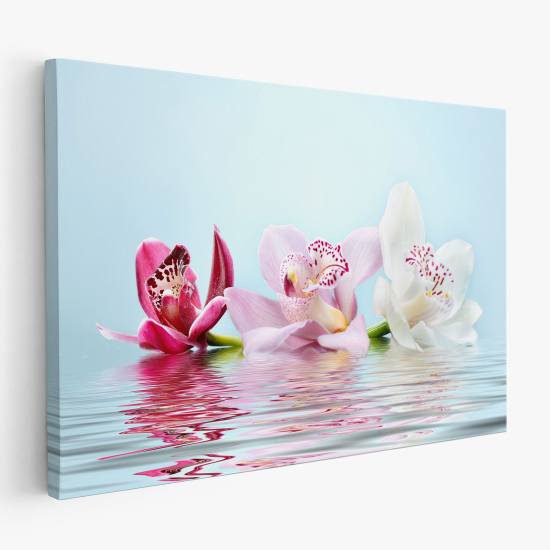 Cuadro en Lienzo - Orquídeas