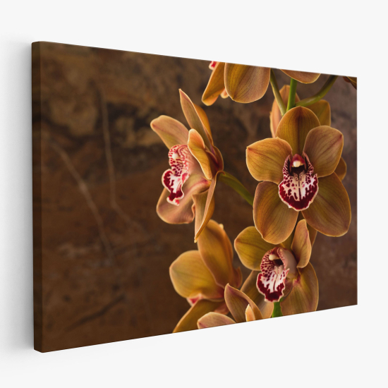 Cuadro en Lienzo - Orquídeas
