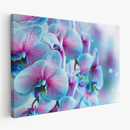 Cuadro en Lienzo - Orquídeas