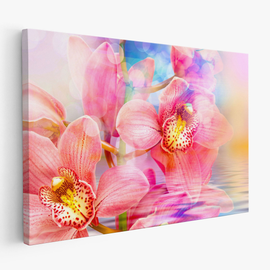 Cuadro en Lienzo - Orquídeas coloridas