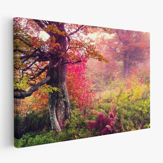 Cuadro en Lienzo - Otoño naturaleza