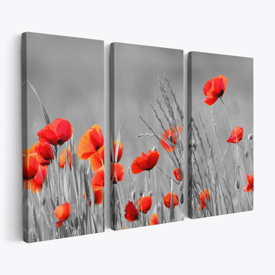Cuadro tríptico - Amapolas
