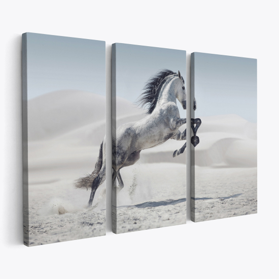 Cuadro tríptico - Caballo