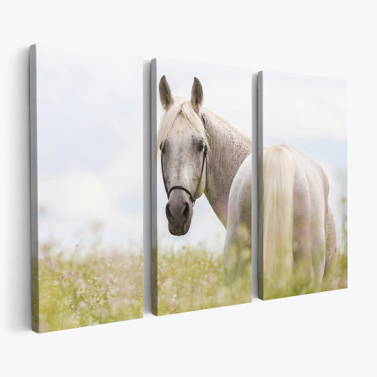 Cuadro tríptico - Caballo