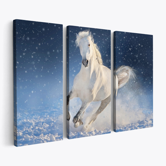 Cuadro tríptico - Caballo